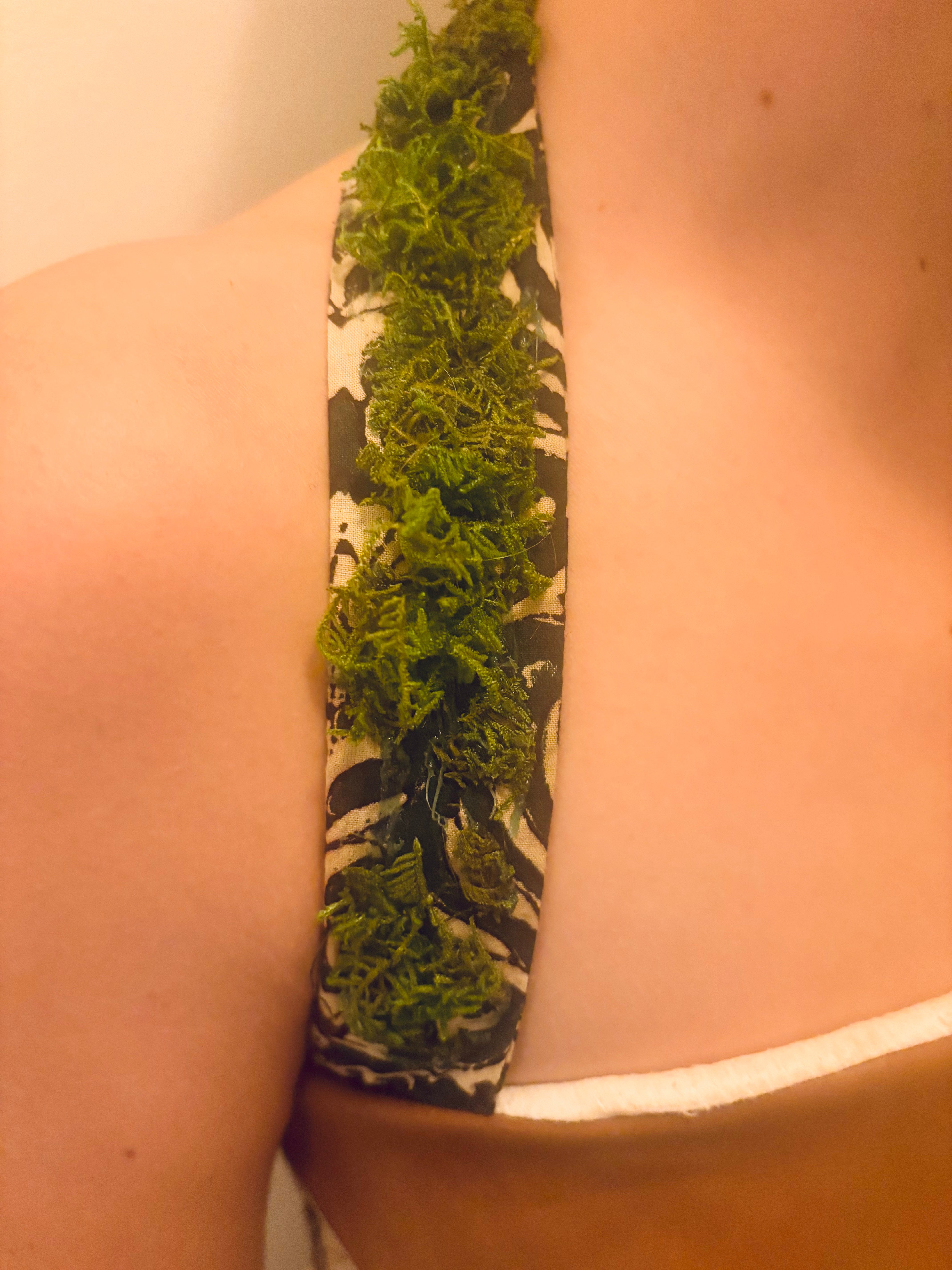 Forest Cocktail Dress